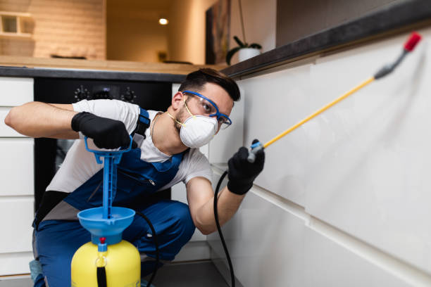 Reliable Cottonwood, MN Pest Control Solutions