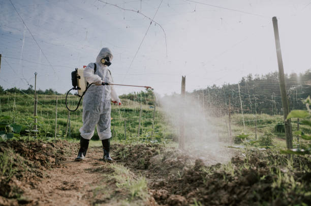 Best Mosquito Control Services  in Cottonwood, MN