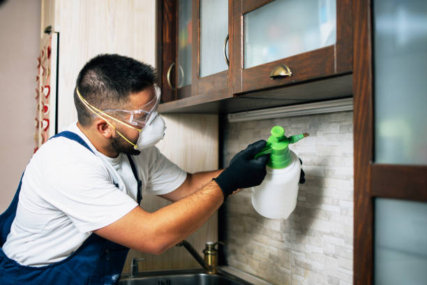 Best Rat Extermination Near Me  in Cottonwood, MN