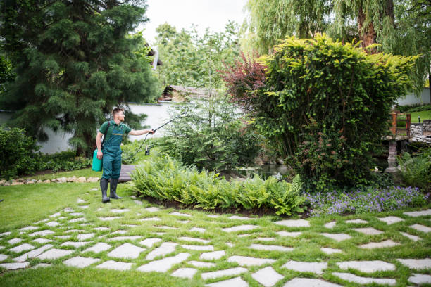 Best Pest Inspection Near Me  in Cottonwood, MN