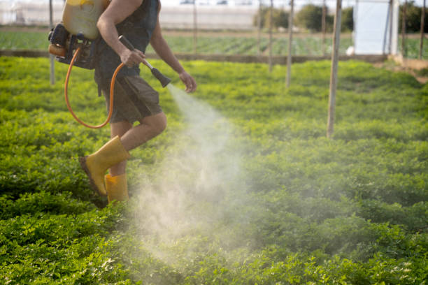 Best Pest Removal Services  in Cottonwood, MN
