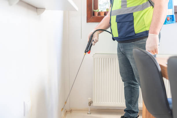 Best Wasp Removal Services  in Cottonwood, MN